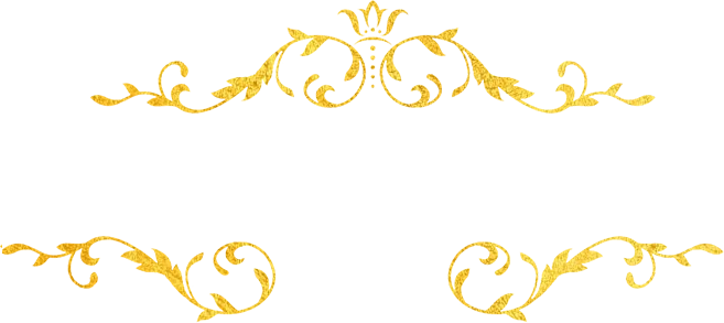 Solarbet VIP Program